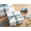 image:imageVitalizart Chiffon Silk Ribbon 1 x 21 Yd Nude amp White Fringe Fabric Package 3 Rolls  7 Yd for Wedding Invitations Bridal Bouquets Decorations Gifts Wrapping amp Bow MakingDusty Blue