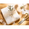 image:imageVitalizart Chiffon Silk Ribbon 1 x 21 Yd Nude amp White Fringe Fabric Package 3 Rolls  7 Yd for Wedding Invitations Bridal Bouquets Decorations Gifts Wrapping amp Bow Makinglight nude