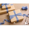 image:imageVitalizart Chiffon Silk Ribbon 1 x 21 Yd Nude amp White Fringe Fabric Package 3 Rolls  7 Yd for Wedding Invitations Bridal Bouquets Decorations Gifts Wrapping amp Bow MakingDusty Blue 3 Rolls