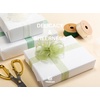 image:imageVitalizart 1 x 90Yd Organza Ribbon Mixed Color Sheer Ribbons Set 10 Yd x 9 Rolls Handmade for Gift Wrapping Christmas Tree Crafts Bows Wedding Invitations Wreaths Wrapgreencream 3 rolls